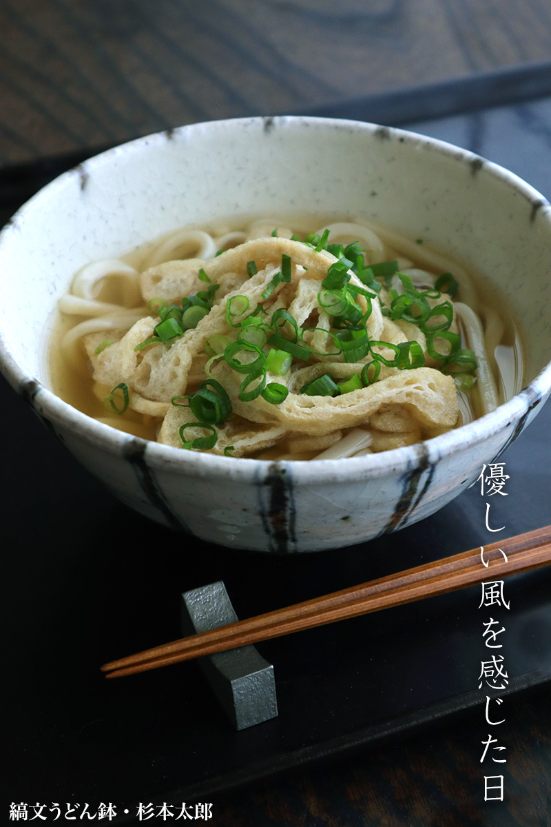 img_0217_666_2112 縞文うどん鉢・B・杉本太郎