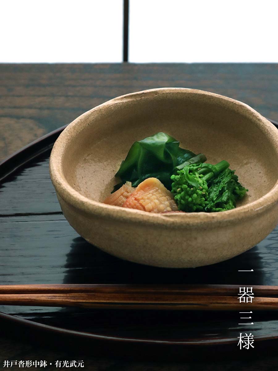 井戸沓形中鉢・有光武元