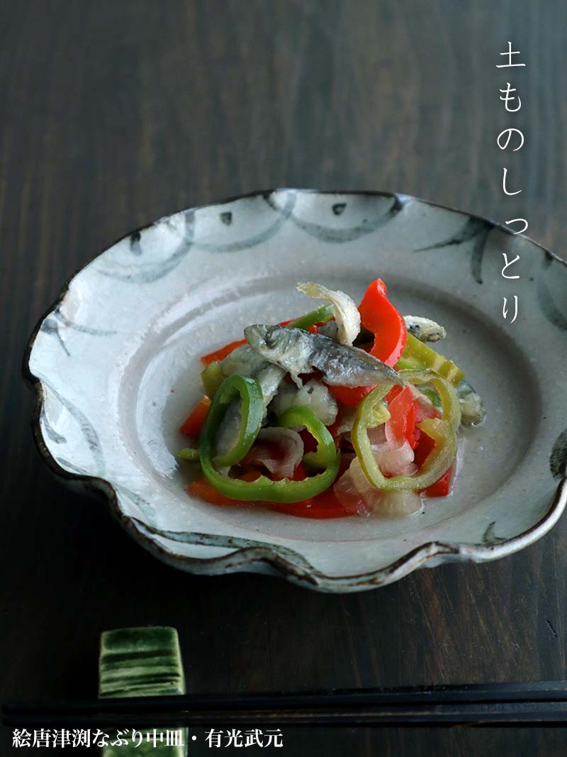 唐津焼：絵唐津渕なぶり中皿・有光武元