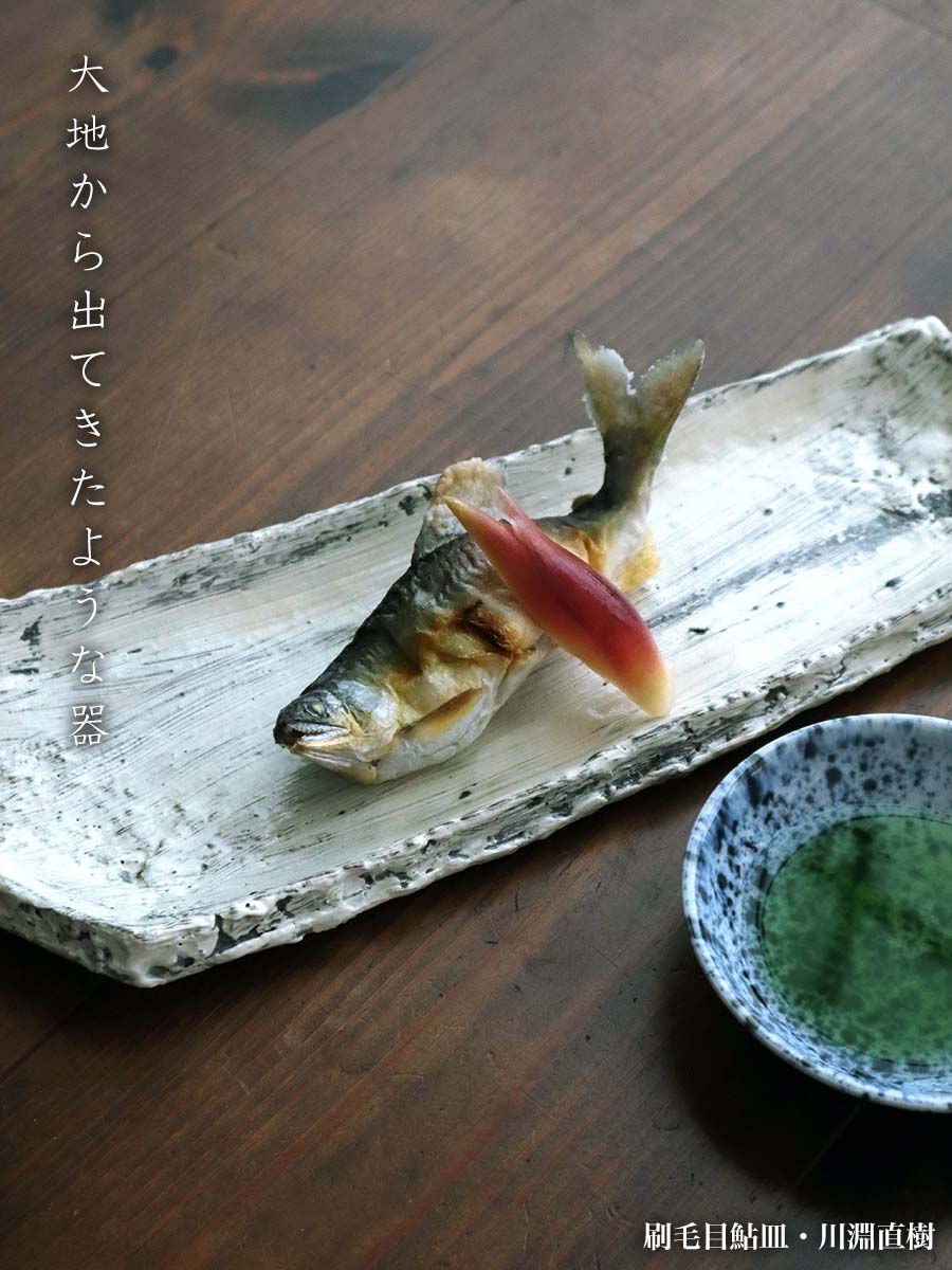 刷毛目鮎皿・川淵直樹
