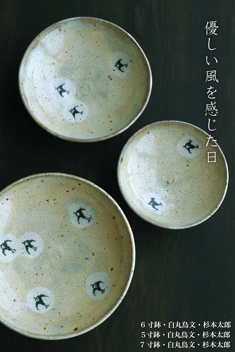 5寸鉢・白丸鳥文・杉本太郎 5寸鉢・白丸鳥文・杉本太郎