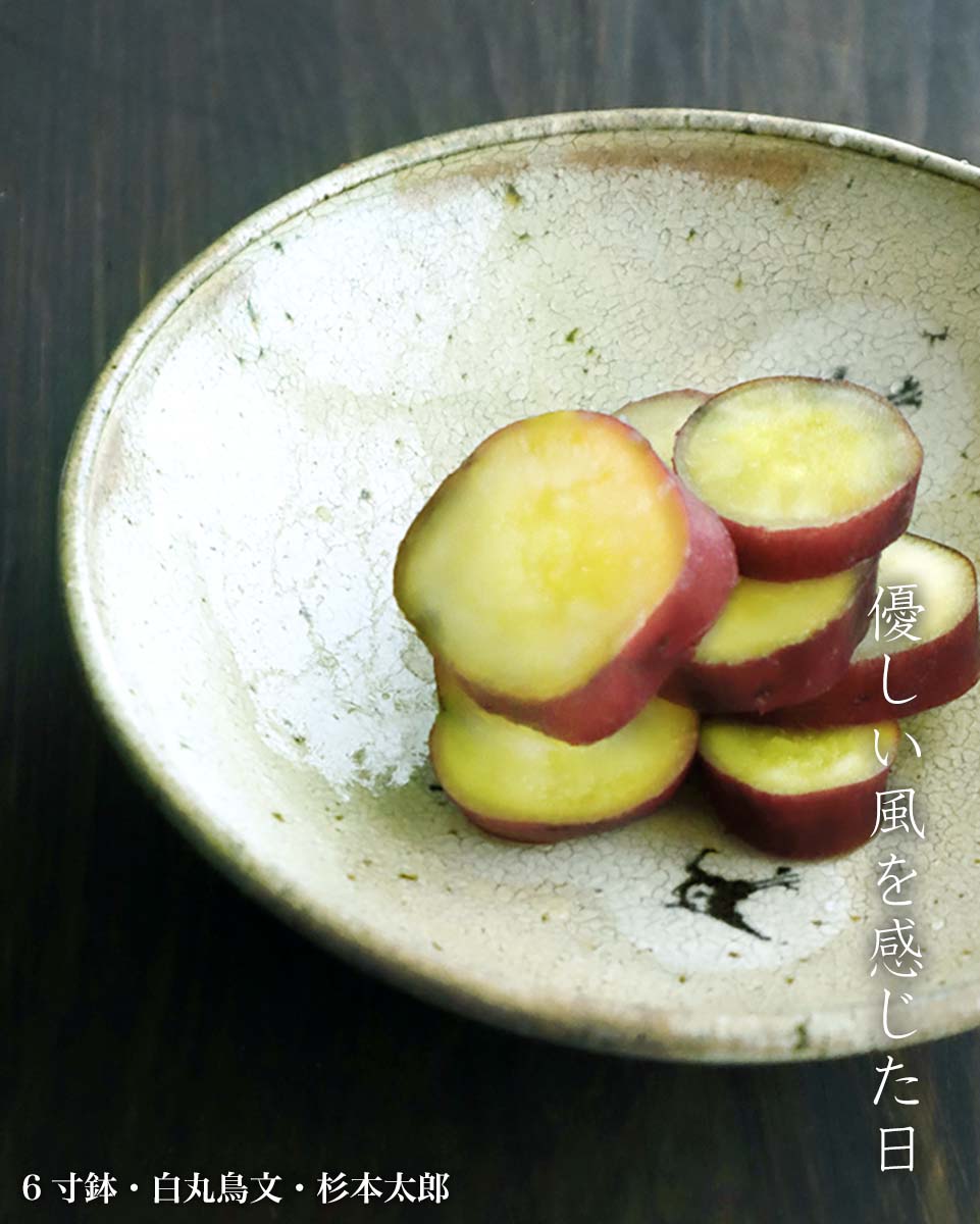 6寸鉢・白丸鳥文・杉本太郎 6寸鉢・白丸鳥文・杉本太郎