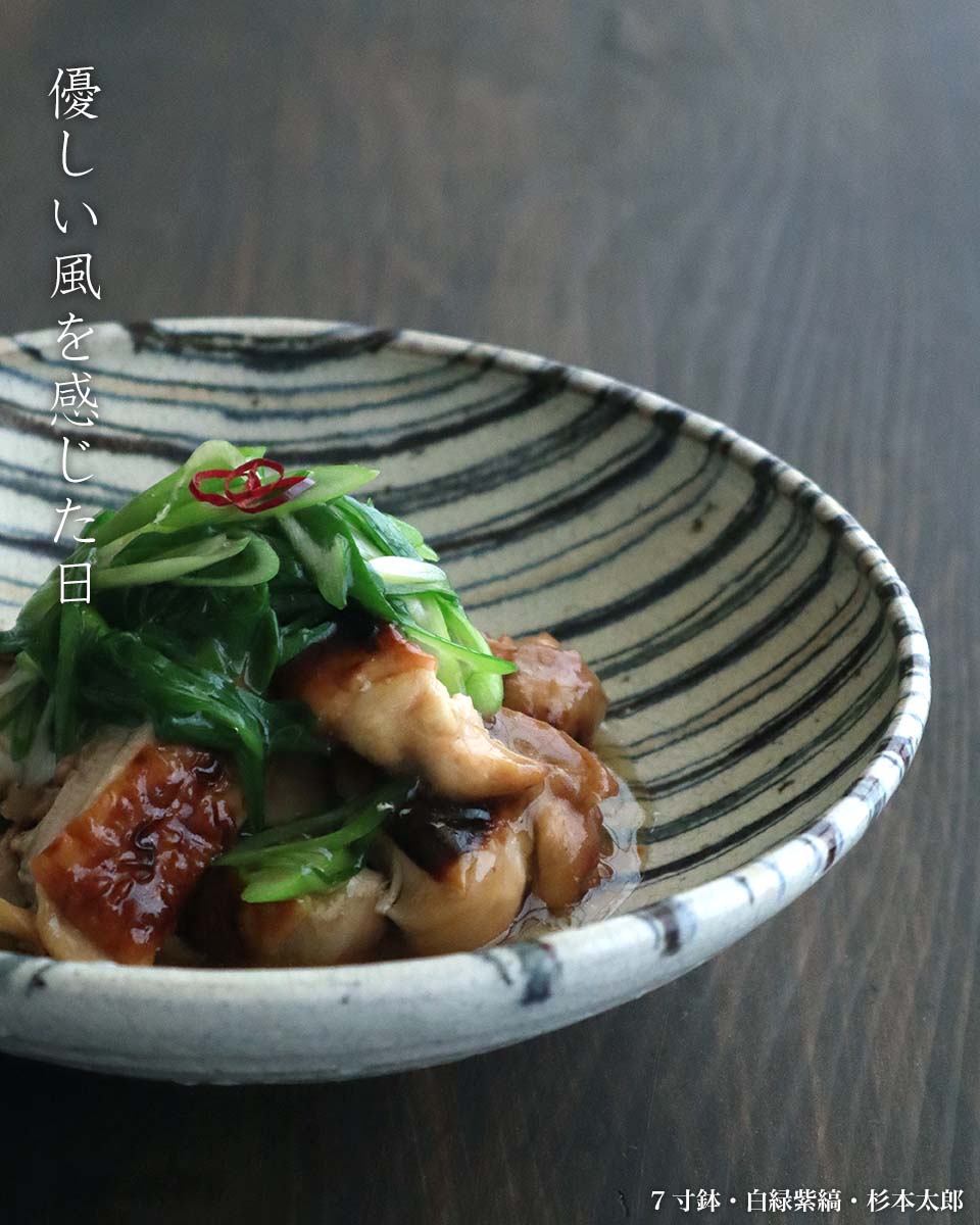 7寸鉢・白緑紫縞・杉本太郎 7寸鉢・白緑紫縞・杉本太郎