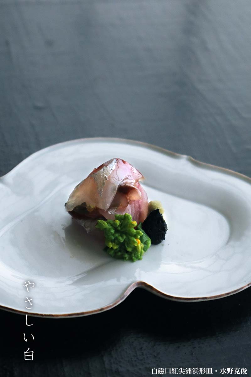 白磁口紅尖洲浜形皿・水野克俊 白磁口紅尖洲浜形皿・水野克俊