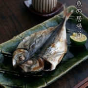 織部焼・総織部：織部長方皿・大・有松進