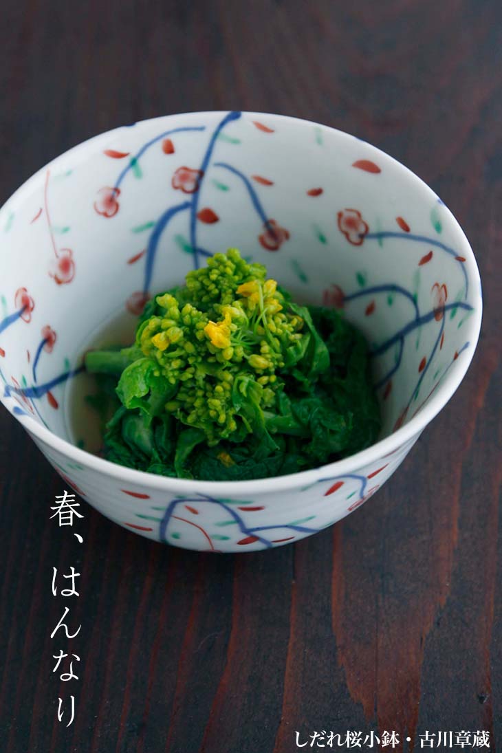 しだれ桜小鉢・古川章蔵