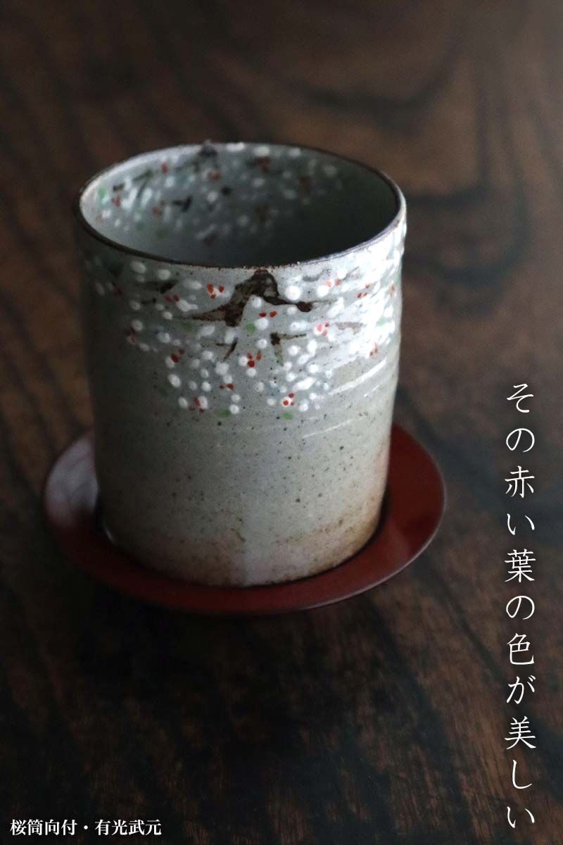 img_7830_666_2403 桜筒向付・有光武元