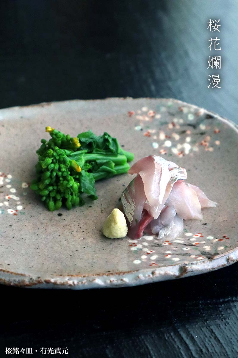 桜銘々皿・有光武元