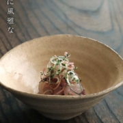 井戸編笠中鉢・有光武元