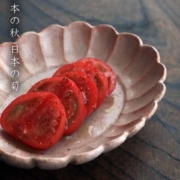 長石釉楕円菊皿・有光武元