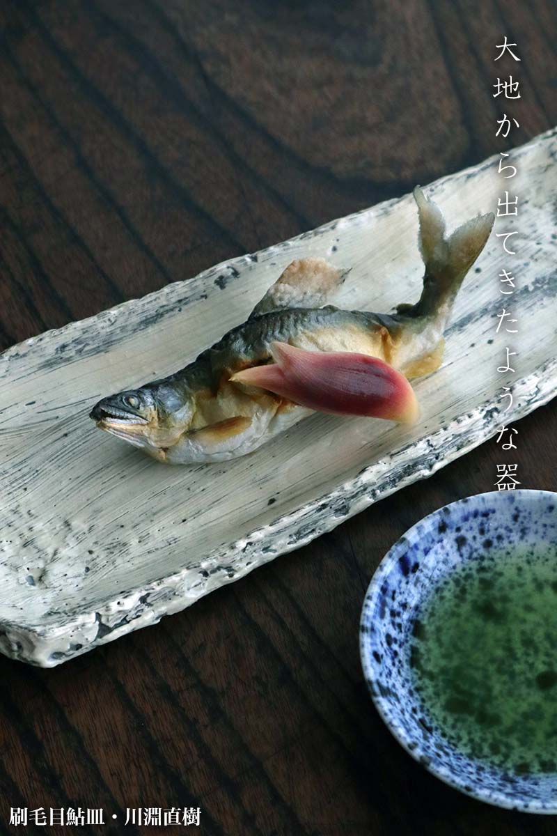 刷毛目鮎皿・川淵直樹