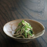 織部焼：雅造山紋様絵皿・土楽・福森雅武