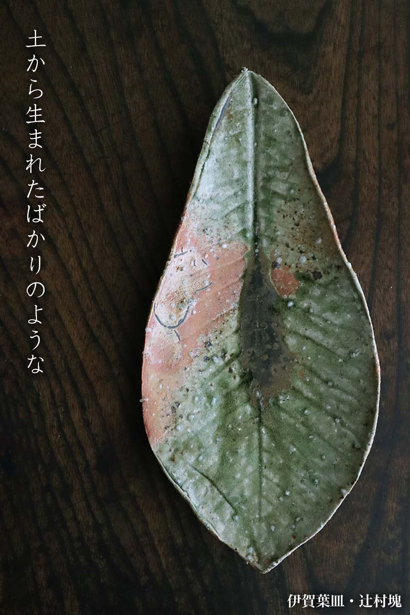 伊賀焼：伊賀葉皿・辻村塊