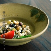 伊賀焼：雅造黄瀬戸向付・土楽：福森雅武