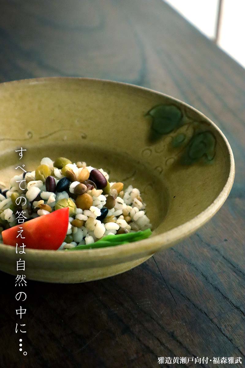 伊賀焼：雅造黄瀬戸向付・土楽：福森雅武