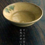 伊賀焼：雅造黄瀬戸向付・土楽：福森雅武