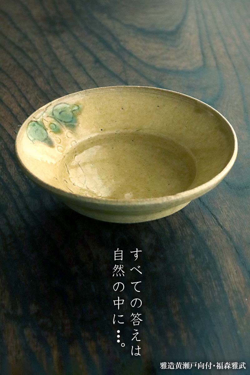 伊賀焼：雅造黄瀬戸向付・土楽：福森雅武