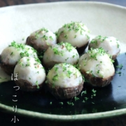 織部焼：織部掛け分け小判皿23×19cm・有松進