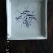 菊花文角皿・大・藤塚光男