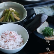 白磁（天草陶石）：白瓷飯碗・大・海老ヶ瀬