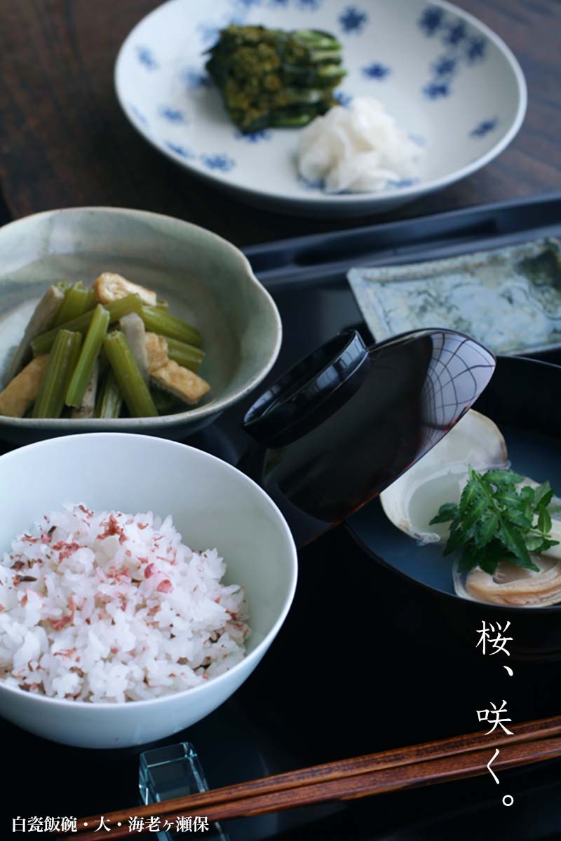 白磁（天草陶石）：白瓷飯碗・大・海老ヶ瀬
