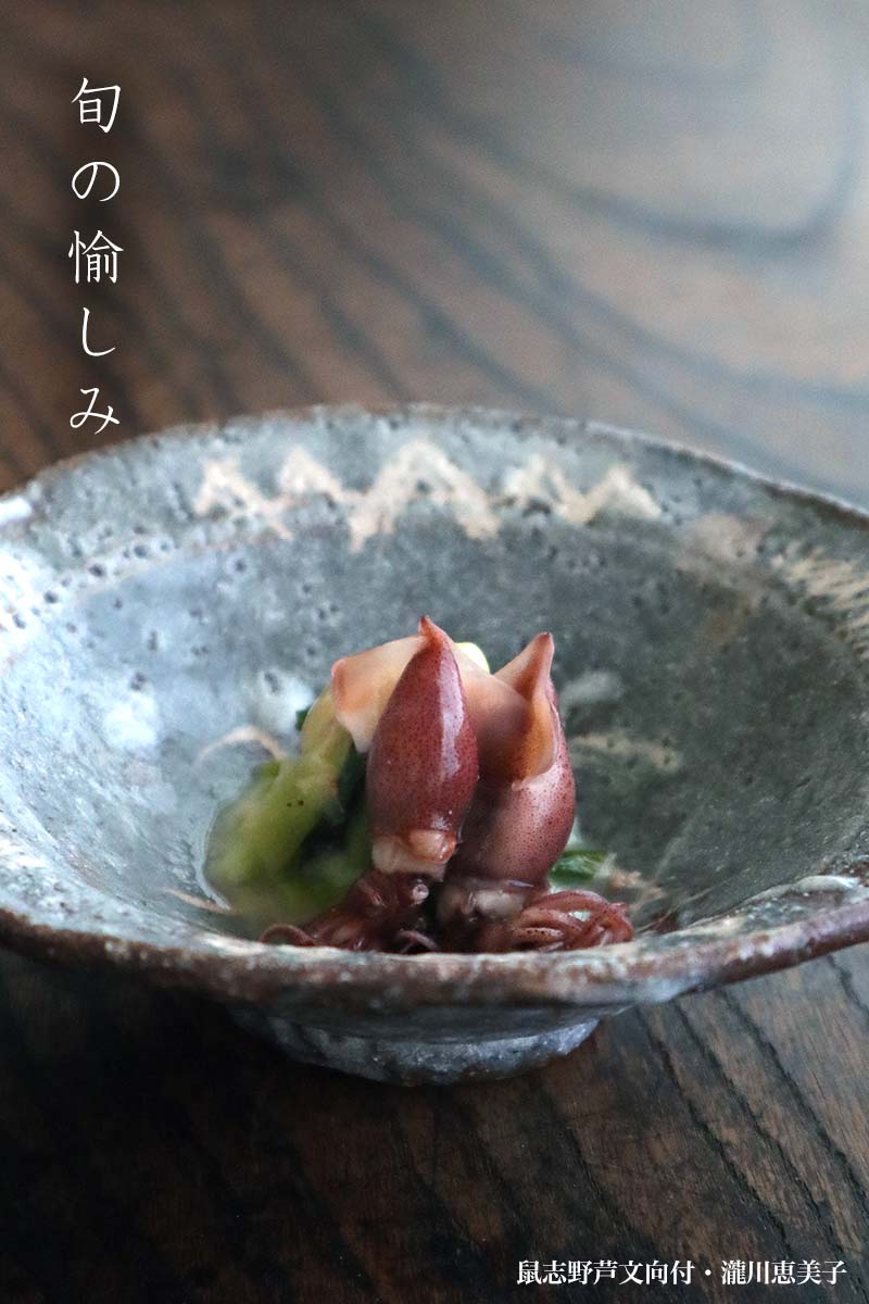 志野焼：鼠志野芦文向付・瀧川恵美子