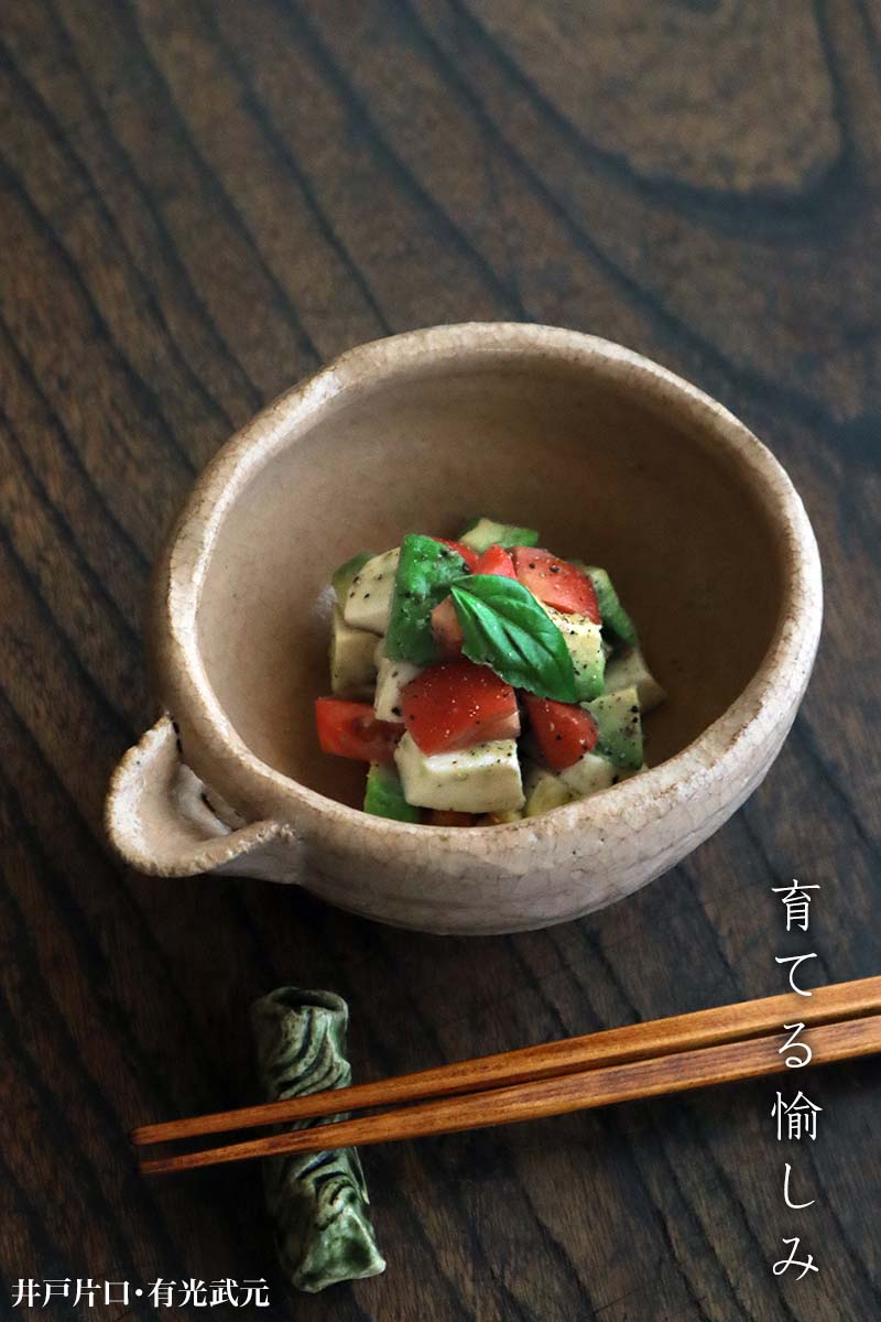 井戸片口・有光武元 井戸片口・有光武元