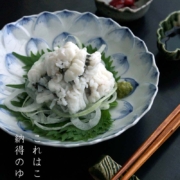 九谷焼：染付蓮花形向付・正木春蔵