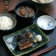 織部焼・総織部：織部長方皿・小・有松進