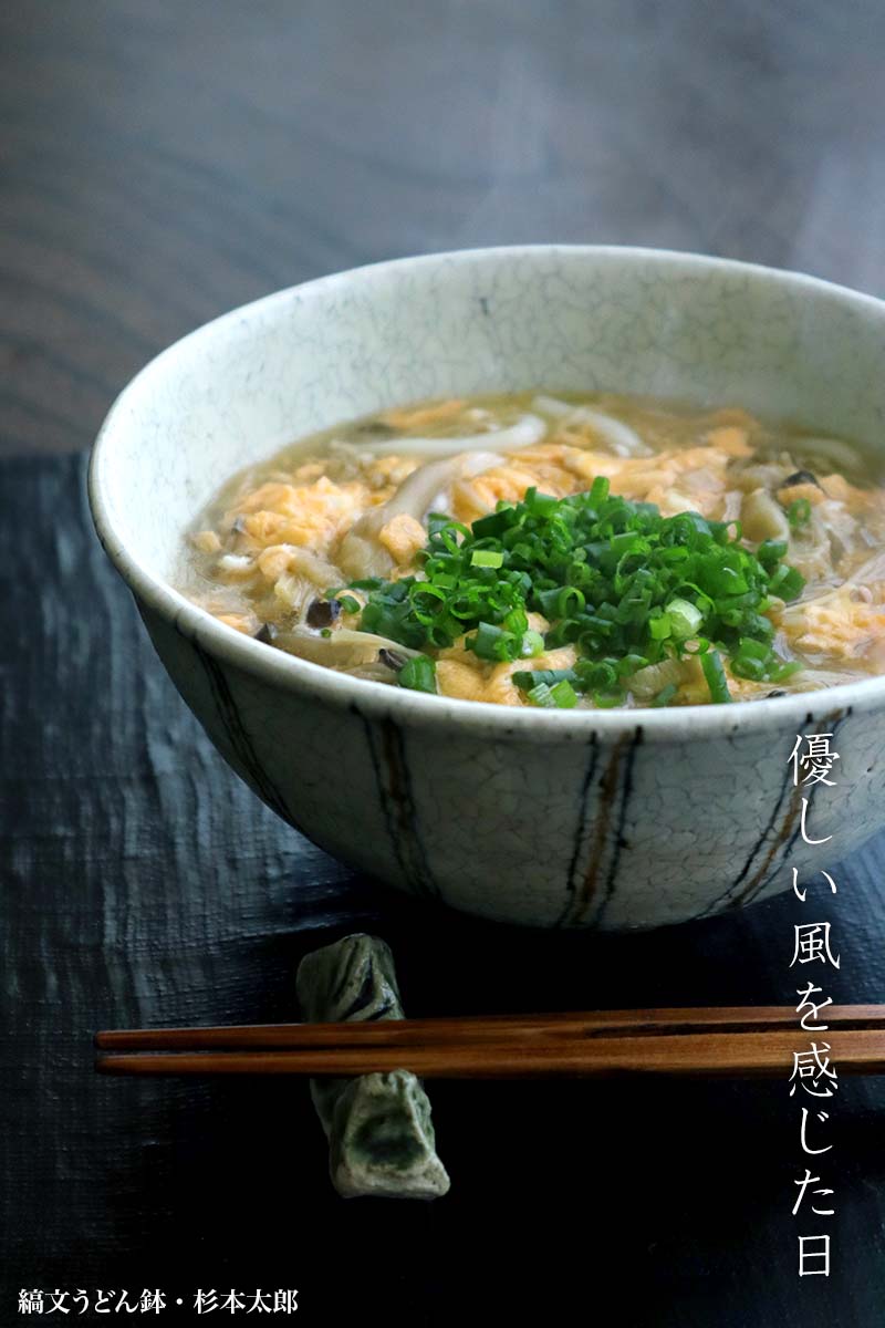 縞文うどん鉢・A・杉本太郎